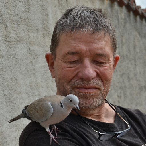 Frédéric Bevernage